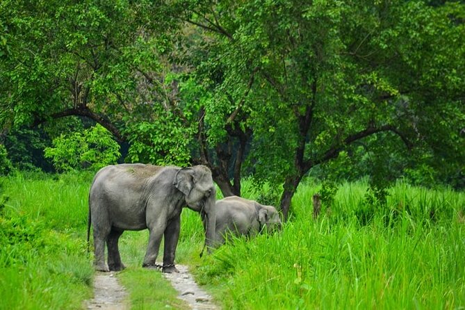 1 Day Akagera Game Drive Safari - Why Akagera works for a one-day safari from Kigali