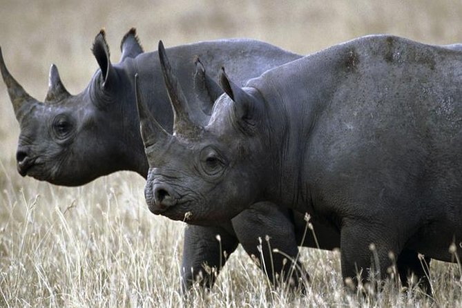1 Day Akagera Wildlife Safari ( 2 Pax Min) - Entering Akagera National Park