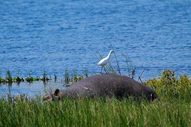 1 Day Akagera Wildlife Safaris Rwanda (2 Pax Min) - Entering Akagera’s hills, grassland, and lakes