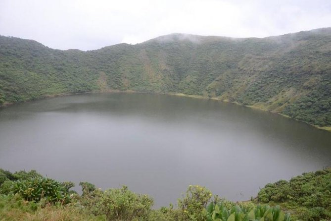 1-Day Bisoke Volcano Hiking Experience - Key points before you book