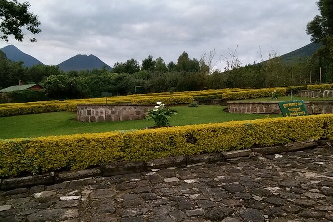 1-Day Bisoke Volcano Hiking Experience - Lunch, the 4x4, and the value of a private tour