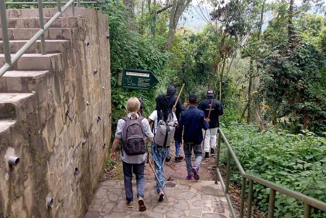 1 Day Canopy Walk Adventure in Nyungwe Forest National Park - Weather, fitness, and practical preparation