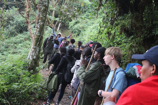 1 Day Canopy walk way in Nyungwe Natioinal park - What you may see in Nyungwe Forest
