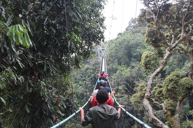 1 Day Canopy walk way in Nyungwe Natioinal park - Nyanza’s King’s Palace adds a different Rwanda