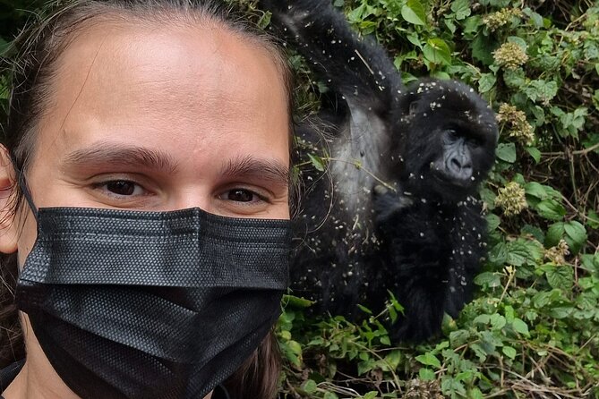 1 Day Gorilla Trekking Safari in Rwanda Volcanoes National Park - A 2 to 6 hour hike through Volcanoes National Park
