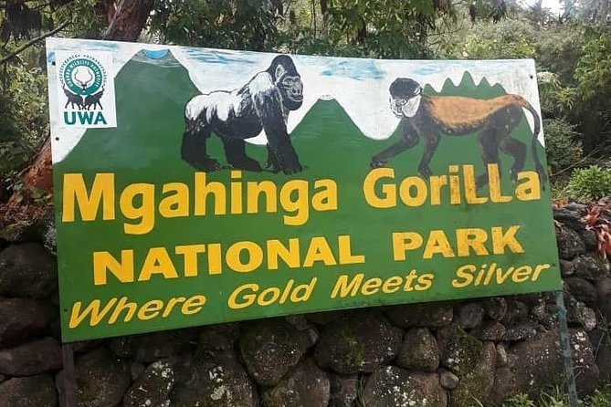 1 Day Gorilla Trekking Uganda - Leaving Kigali before sunrise