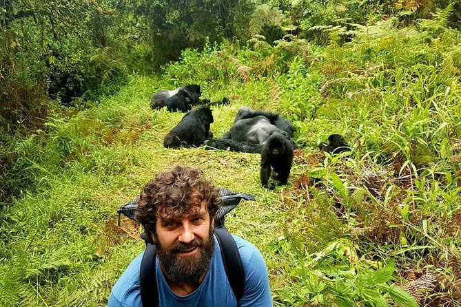 1 Day Gorilla Trekking Uganda - Choosing between Mgahinga and Bwindi