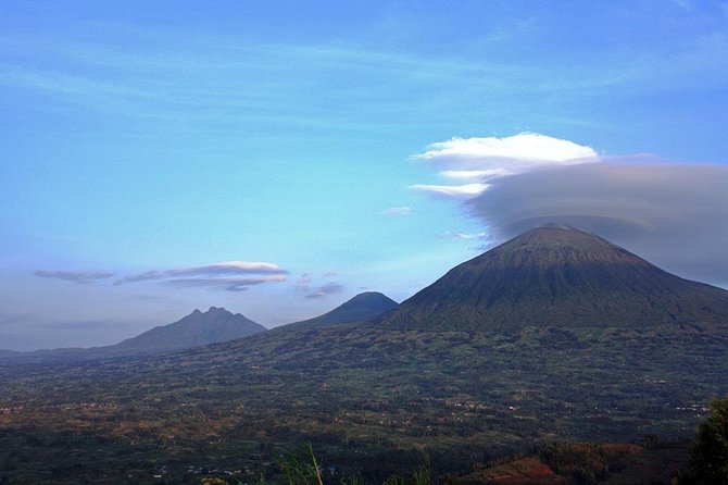 1 Day Gorilla trekking volcanoes national park - Is $2,699 per person fair value?