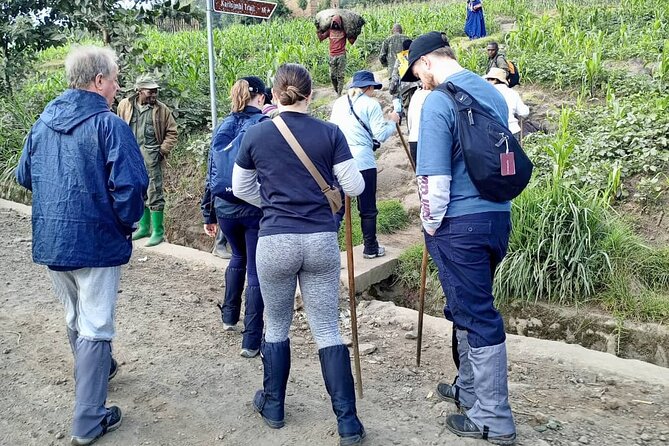 1 Day Rwanda Gorilla Trekking Tour - Key points at a glance