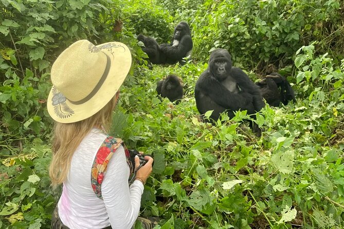 1 Day Rwanda Gorilla Trekking Tour In The Volcanoes National Park - The private driver-guide makes the long day easier