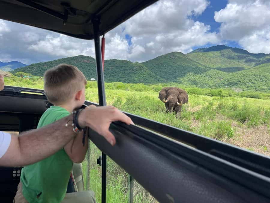 2-Day Akagera Game Drive, Boatride & Safari resort overnight - The 2.5-hour road from Kigali to Akagera