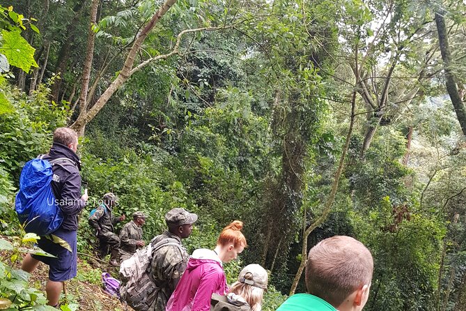 2 Days Chimpanzee trekking & Canopy Walk in Nyungwe National Park - Why Nyungwe makes this short trip worthwhile