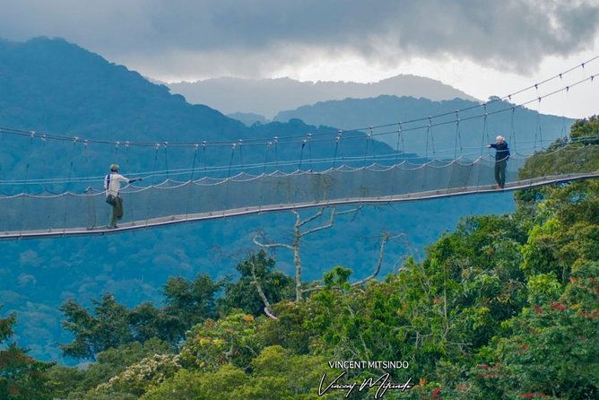 2 Days Chimpanzees trekking Tour and Canopy walk Adventure - The return to Kigali and the role of the driver