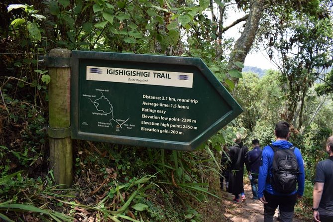 2 Days Chimpanzees trekking Tour and Canopy walk Adventure - Sleeping near the park at Nyungwe Top View Hill Hotel