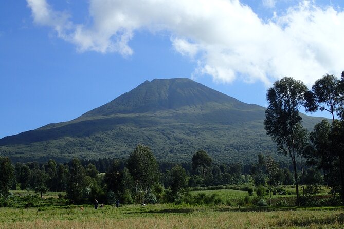 2 Days Gorilla & Golden Monkey Trekking Safaris - What the $715 Package Really Covers