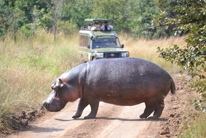 2 Days in Akagera National Park - The 9:00 am drive from Kigali to Kayonza