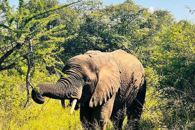 2 Days in Akagera National Park - How the private format affects the experience