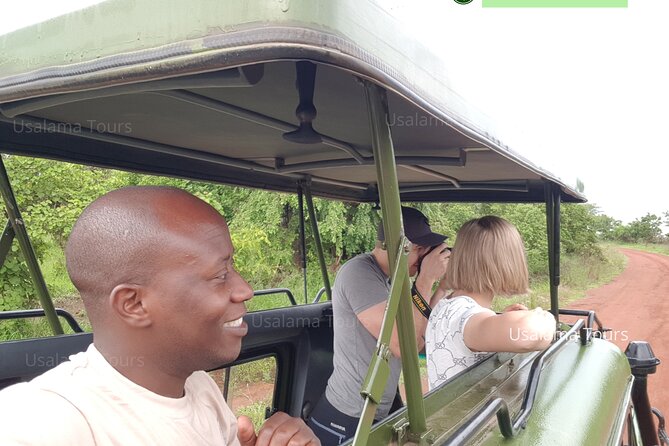 2 days trip_Akagera National Park (Wildlife Safari) - Coffee and Imigongo art near the route