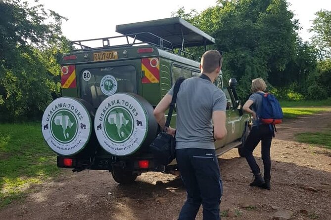 2 days trip_Akagera National Park (Wildlife Safari) - A lunch stop at Mihindi coffee shop