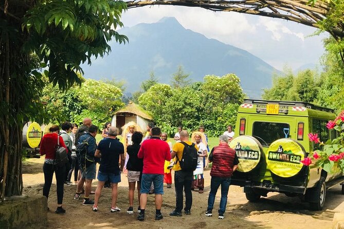 2 days Uganda Gorilla trekking - One hour with mountain gorillas