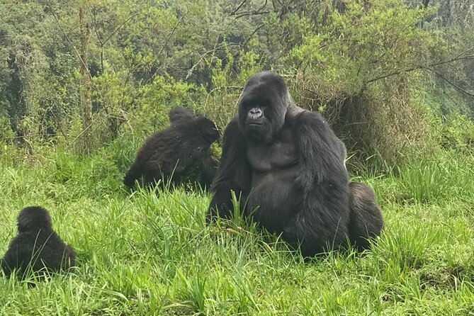 2 days Uganda Gorilla trekking - The people who make the schedule work