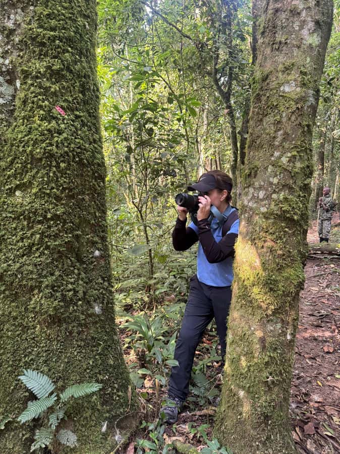 3-Day Gorilla Experience In Uganda - Day 2: The forest trek and Lake Bunyonyi