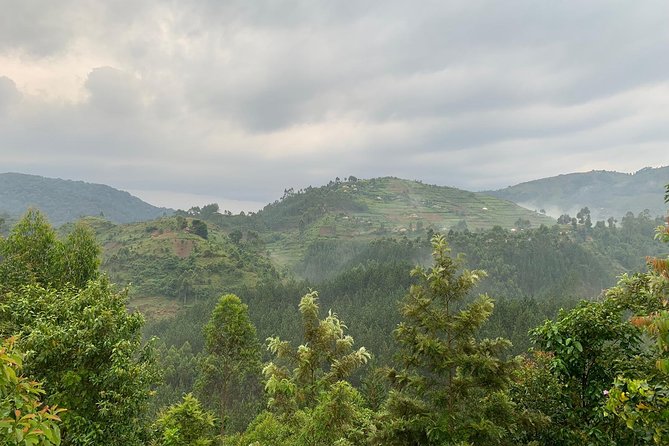 3 Day Gorilla Trek at Bwindi National Park via Kigali - The guides and communication