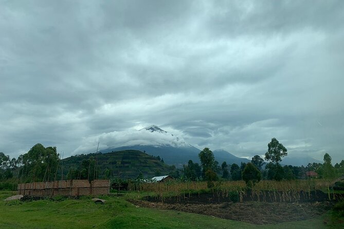 3 Day Gorilla Trek at Bwindi National Park via Kigali - Booking, cancellation, and practical checks