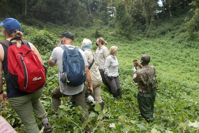 3 Day Rwanda to Uganda gorilla trekking Safari - Why this three-day route works