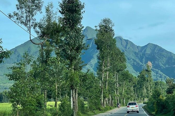 3 Days Gorilla & Golden Monkey Trekking Safaris - Day one: Kigali before the road to Kinigi