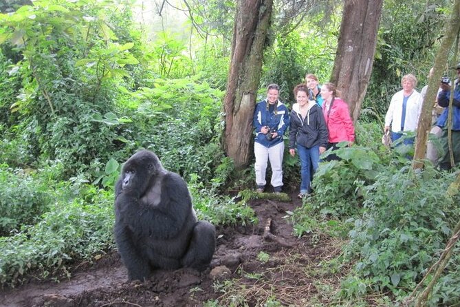 3 Days Uganda Gorilla Trekking Safari - What the price means at $1,810.38