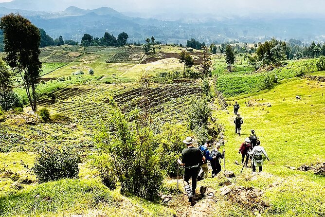 5 Days Akagera and Volcanoes National Park - Akagera brings classic safari animals within reach