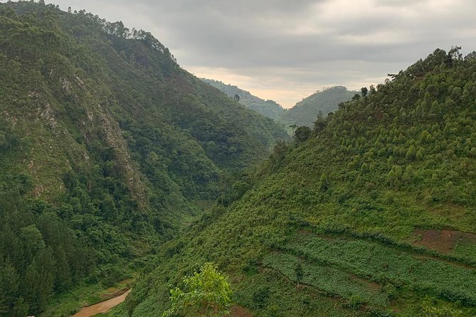 6 Days Rwanda Uganda Budget Wildlife Safari - Day 4: Bwindi to Queen Elizabeth National Park