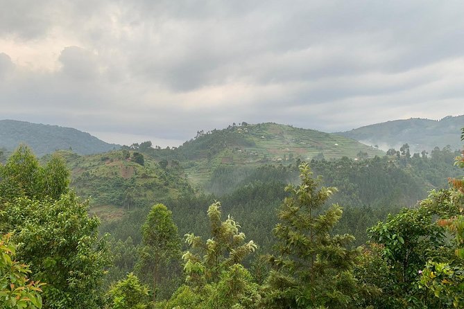 6 Days Rwanda Uganda Budget Wildlife Safari - What $2,885 buys you