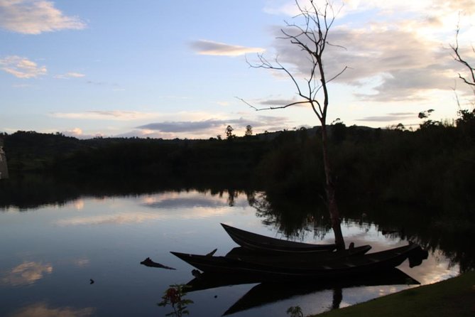 8 Day Gorilla Trek, Wildlife Safari and Chimp Habituation Experience - Day 8: Kibale to Kampala or Entebbe