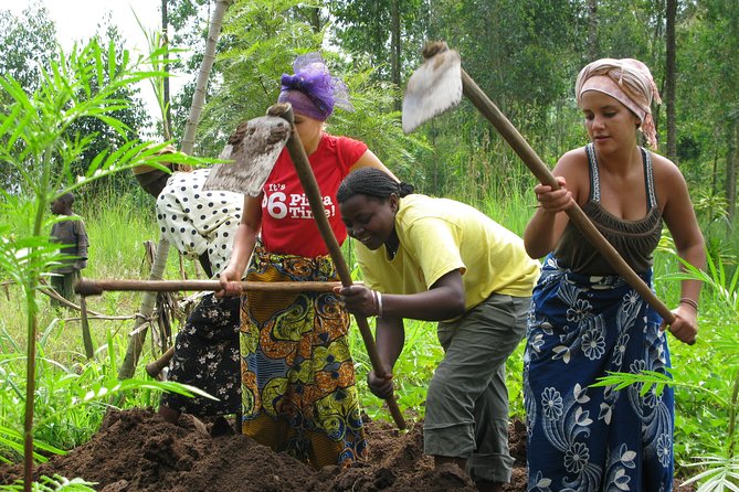 A Day in the Life of a Local Artisan - Meeting the artisan family and starting with farm work