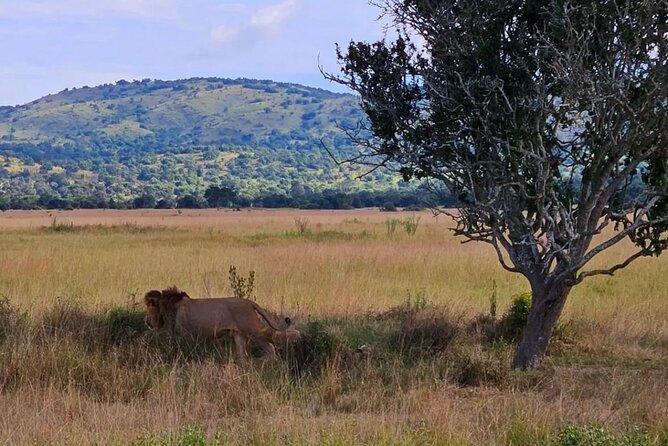Akagera National Park 1 day Safari Experience - Lunch and the northern part of the park