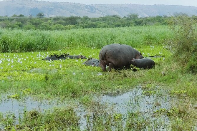 Akagera National Park 1 day Safari Experience - The ride back to Kigali