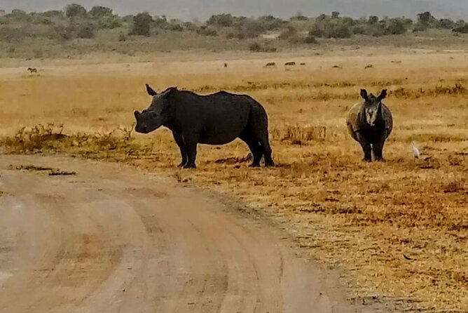 Akagera National Park 1 day Safari Experience - Who should book this one-day safari?