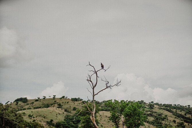 Big 5 Safari Day Trip - The road from Kigali to Akagera
