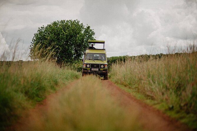 Big 5 Safari Day Trip - What you may see in a single day