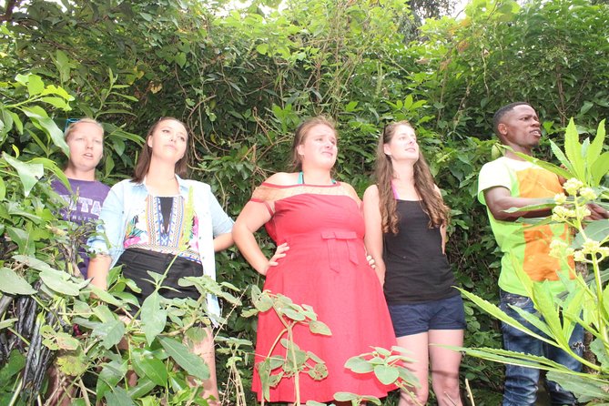 Boat cruise and adventures -Karongi - Seeing Kibuye from Lake Kivu