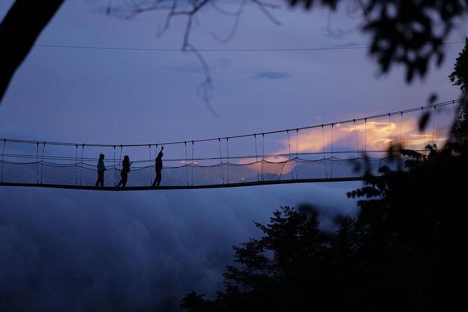 Discover the Beauty of Rwanda in 12Days - Nyungwe Forest, primates, and the canopy walk