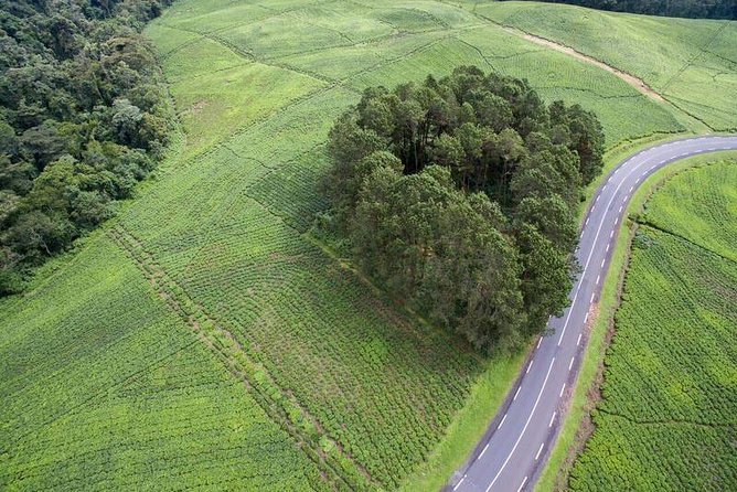 Discover the Beauty of Rwanda in 12Days - Is $3,453.34 good value?