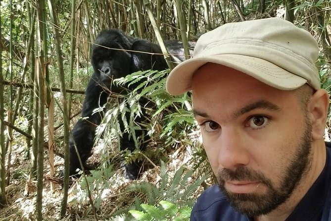 From Kigali: 10 Hour Day-trip Rwanda Gorilla Trekking with Lunch - A 4:00 am departure from Kigali
