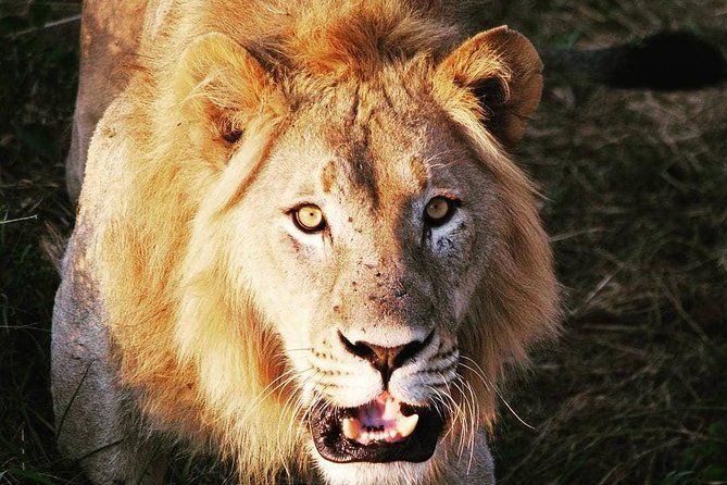 From Kigali: 12 Hour Custom Day trip for game Drive in Akagera NP - Key points to know before you book