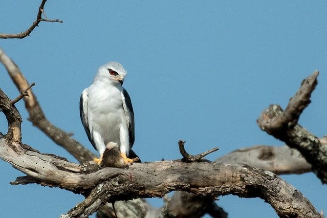 From Kigali: 12 Hour Custom Day trip for game Drive in Akagera NP - How the day feels in practice