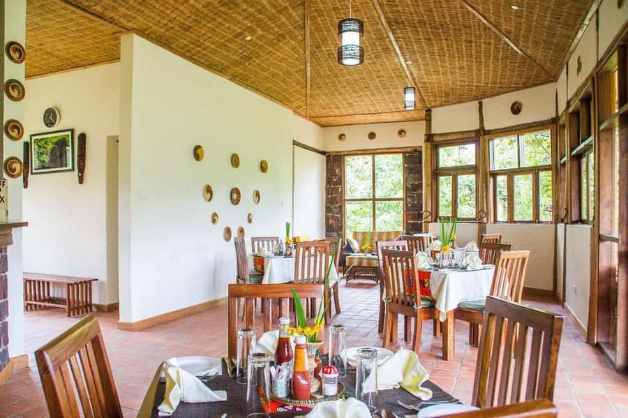 From Kigali: 2-Day Gorilla Trek: Bwindi Nat Park - Day 2: the gorilla trek itself