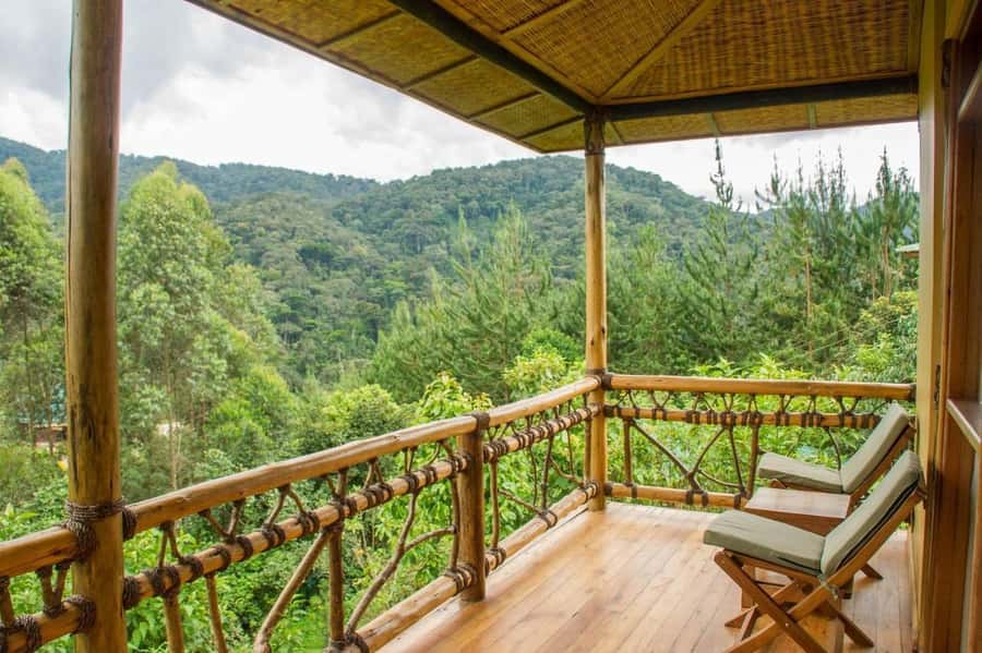 From Kigali: 2-Day Gorilla Trek: Bwindi Nat Park - Day 1: Kigali to the Uganda park area