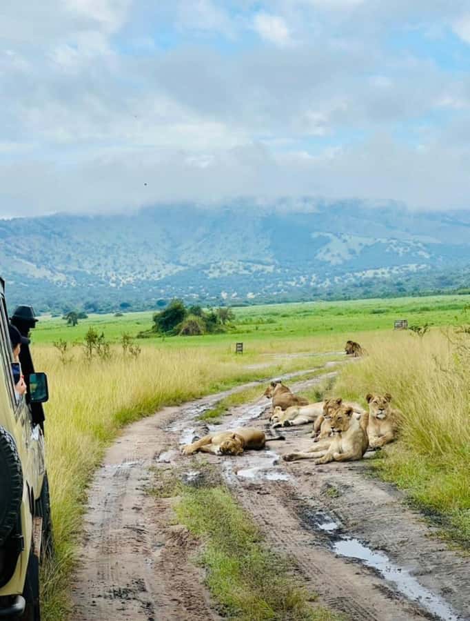 From Kigali: Akagera National Park Safari game drive - Comfort, clothing, and practical preparation